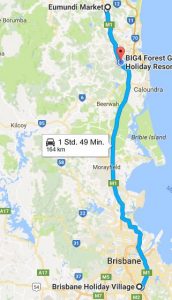 brisbane-eumundi-glen-forest