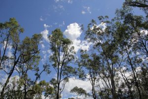 glasshouse-mountains-1