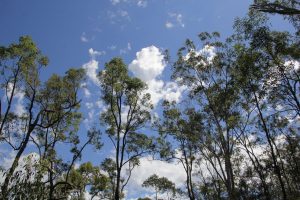 glasshouse-mountains-1