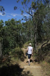 glasshouse-mountains-2